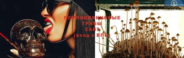 дмт Нефтекумск